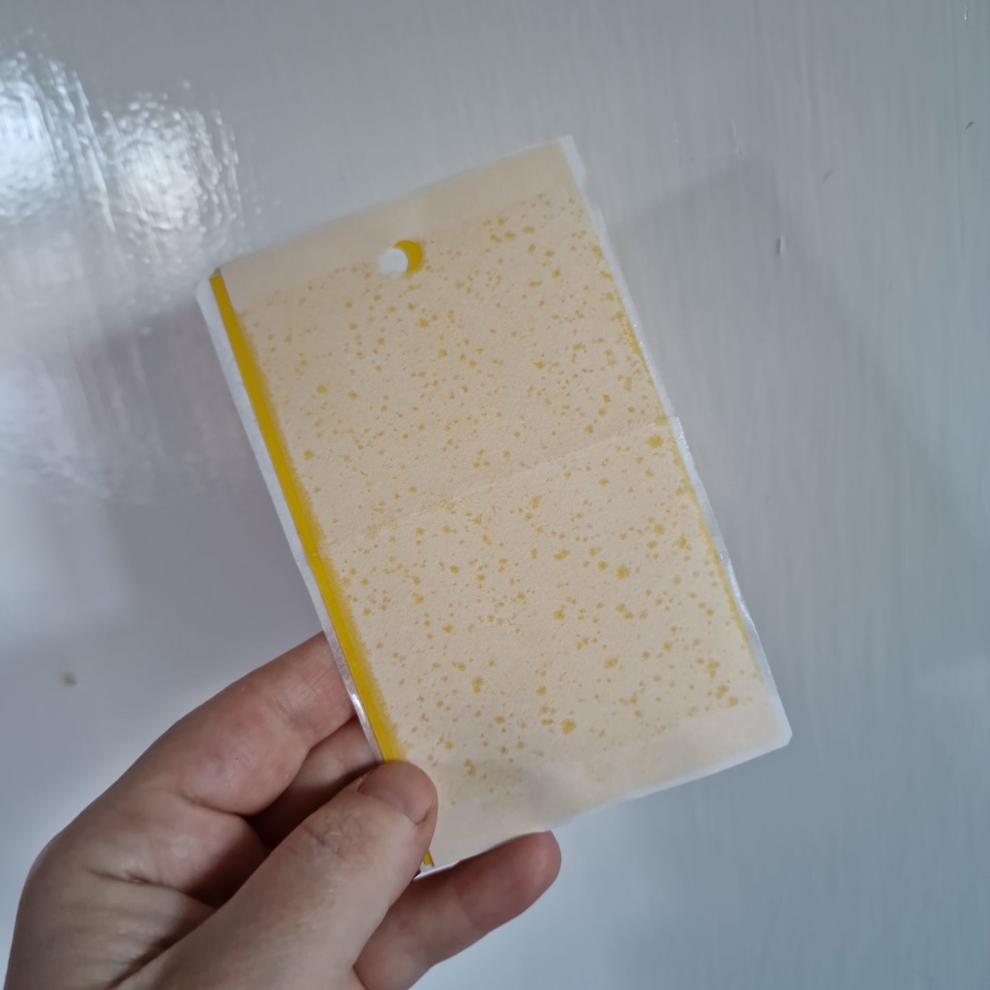 Yellow Sticky Plant Fly / Gnats / Bugs / Traps