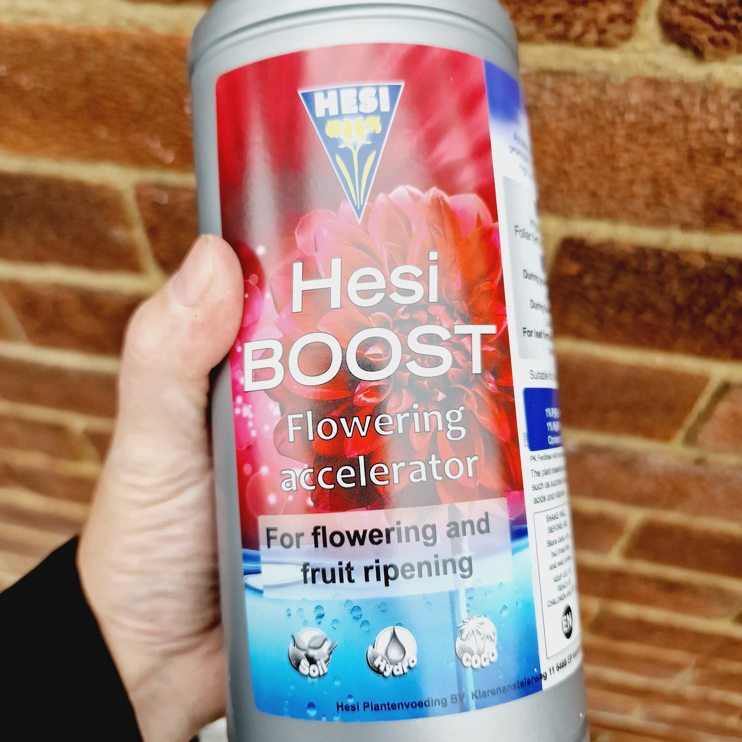 Hesi Boost