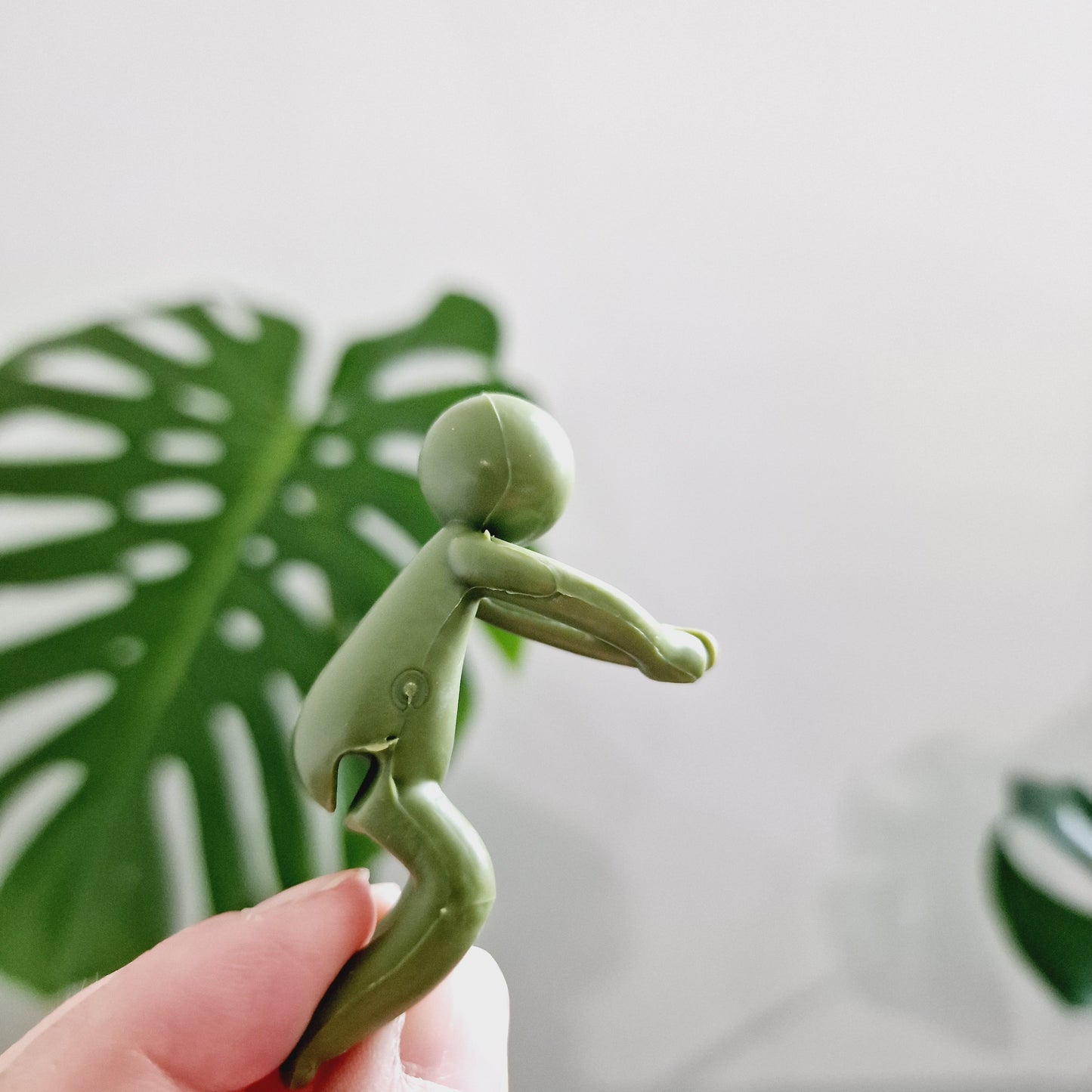 Plant Propogation Buddy Stem / Cutting Holder