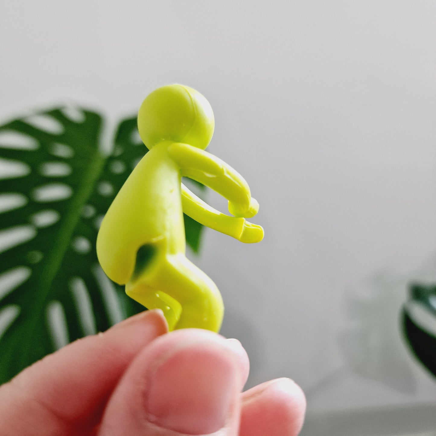 Plant Propogation Buddy Stem / Cutting Holder