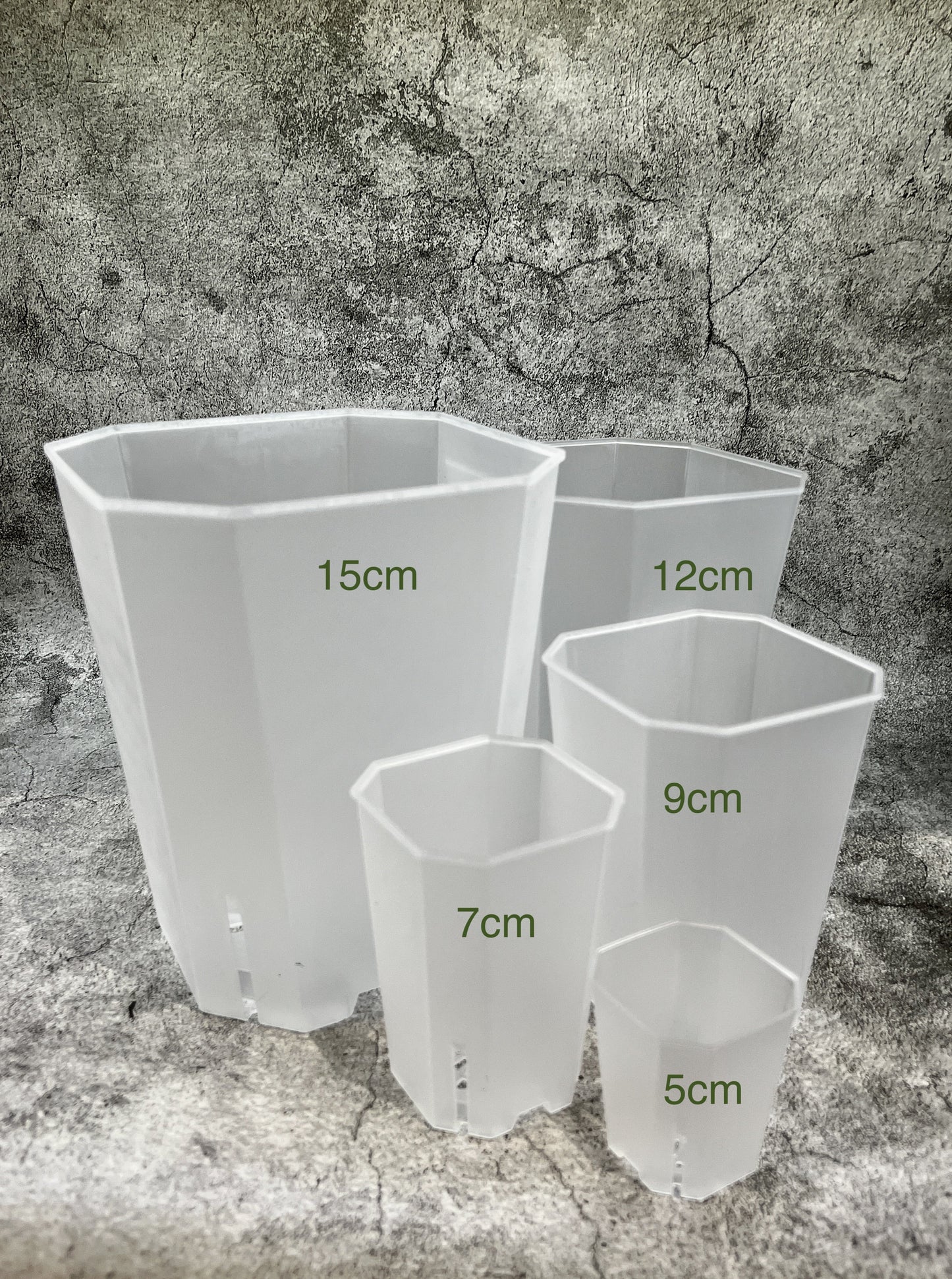 Plastic Semi Transparent Tower Aroid Plant Pots - various sizes available