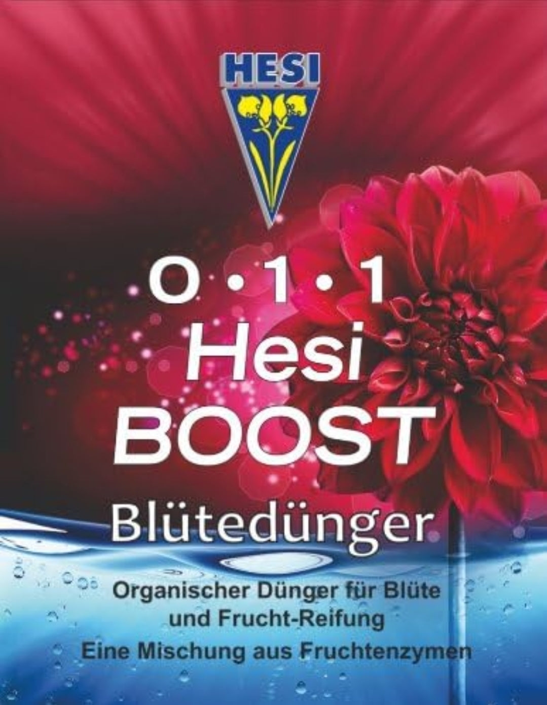 Hesi Boost