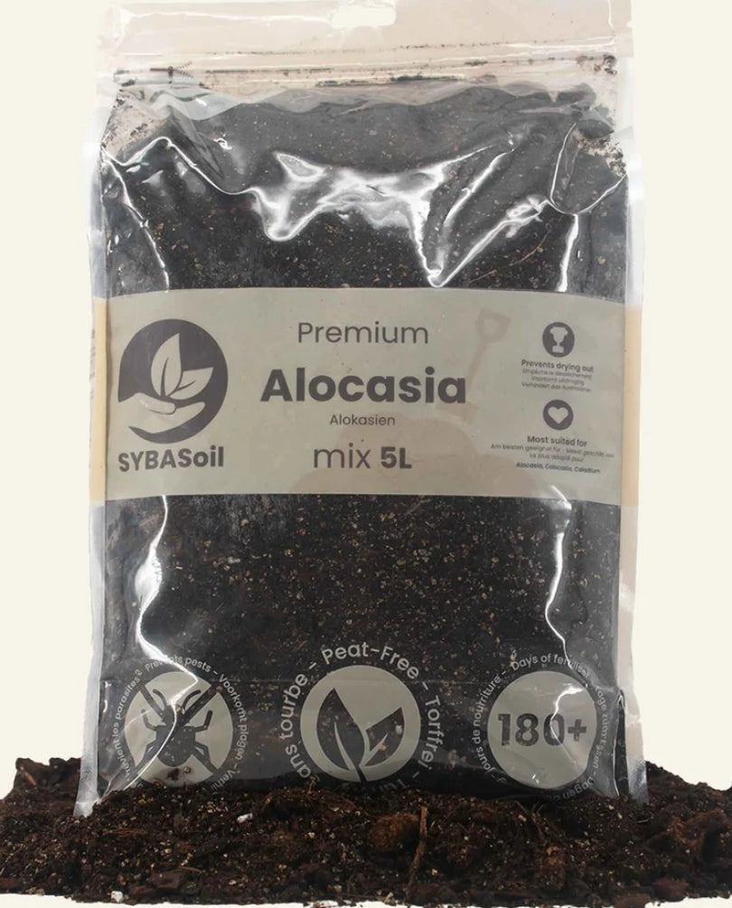 SYBASoil Alocasia Soil Substrate 5ltr