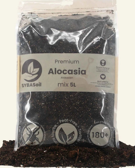 SYBASoil Alocasia Soil Substrate 5ltr