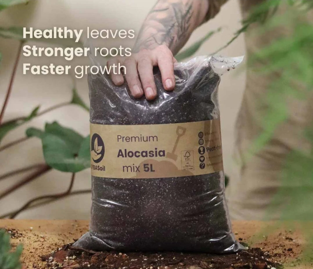 SYBASoil Alocasia Soil Substrate 5ltr