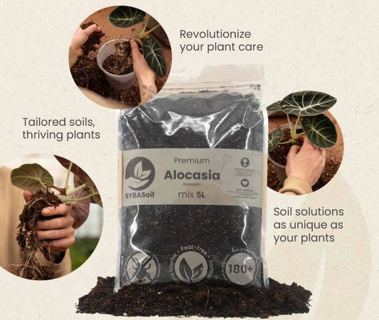 SYBASoil Alocasia Soil Substrate 5ltr