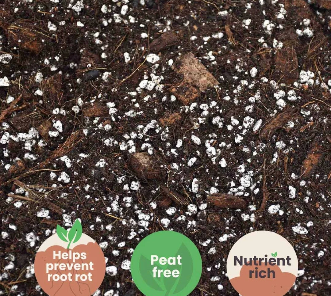 SYBASoil Premium Aroid Soil Substrate 5ltr (Monstera, Philodendron, Pothos, Aglaonema)