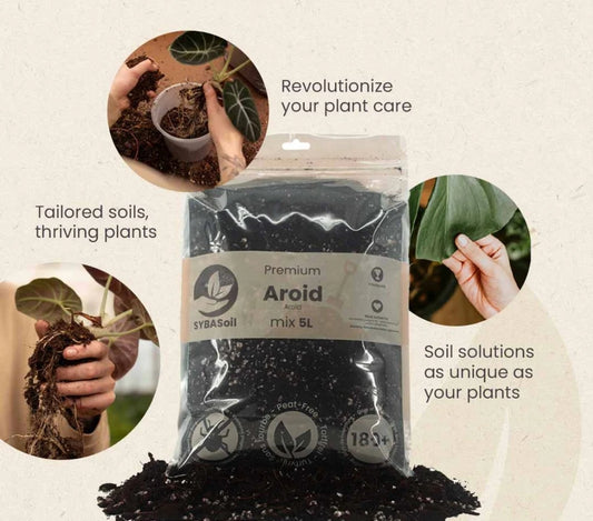 SYBASoil Premium Aroid Soil Substrate 5ltr (Monstera, Philodendron, Pothos, Aglaonema)