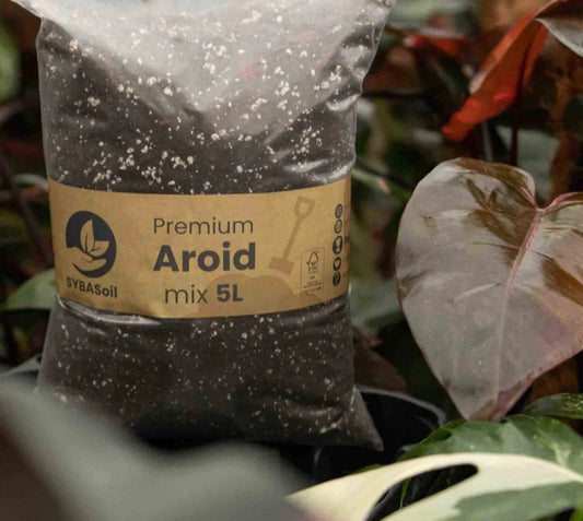 SYBASoil Premium Aroid Soil Substrate 5ltr (Monstera, Philodendron, Pothos, Aglaonema)
