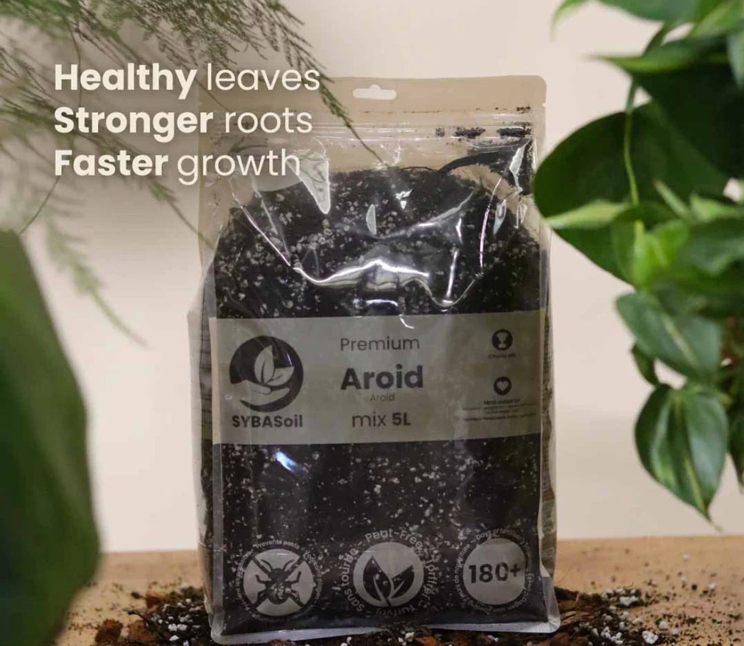 SYBASoil Premium Aroid Soil Substrate 5ltr (Monstera, Philodendron, Pothos, Aglaonema)