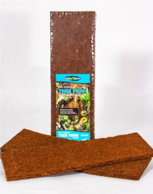 Fernwood Tree Fern Panels Twin Pack 30.5x15.2x1.5cm