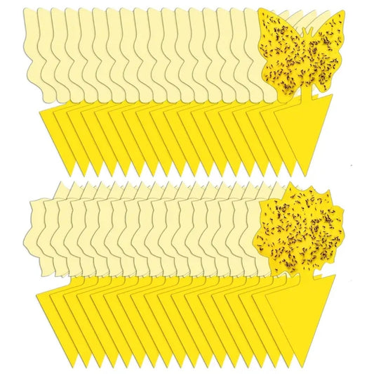 Yellow Sticky Plant Fly / Gnats / Bugs / Traps