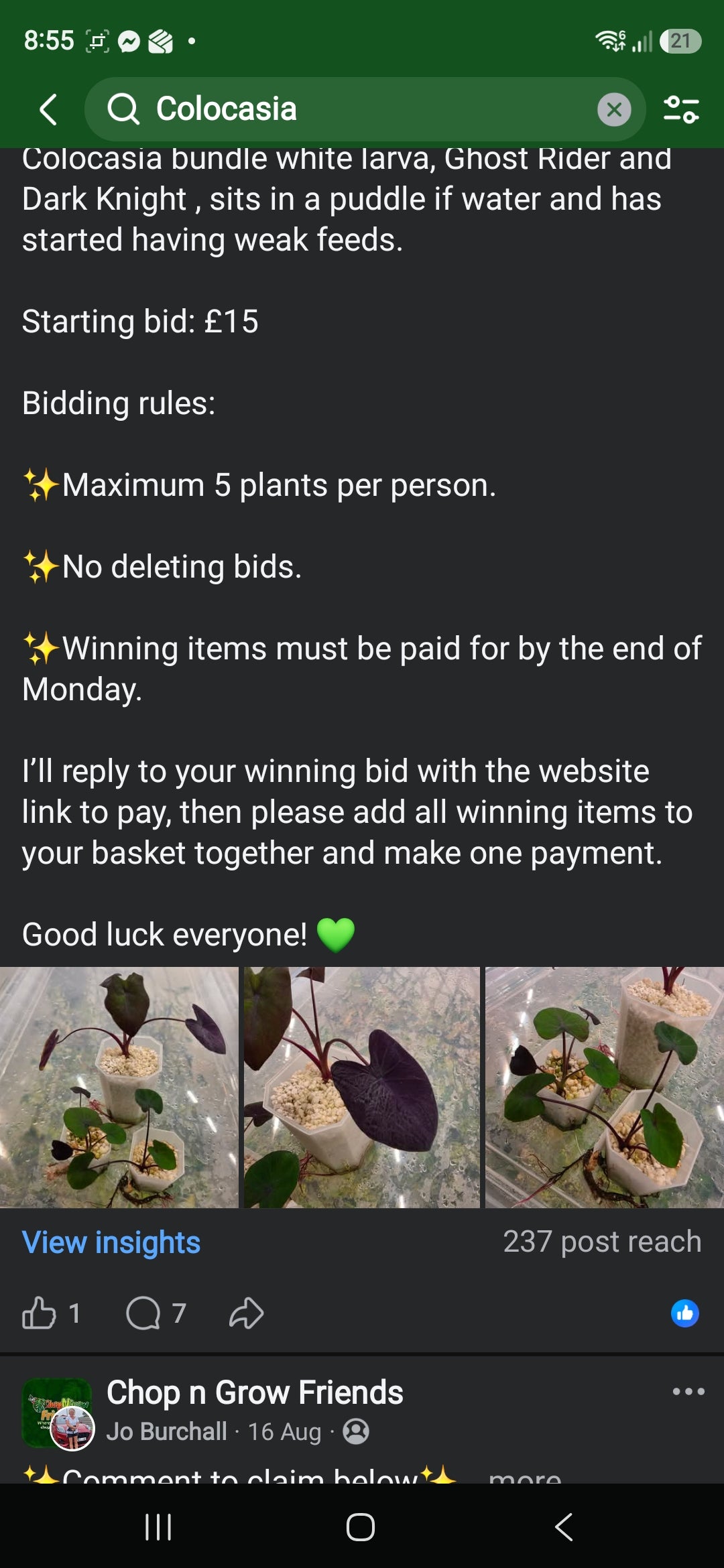 Sunday CnG Sale - Laura Colocasia Bundle