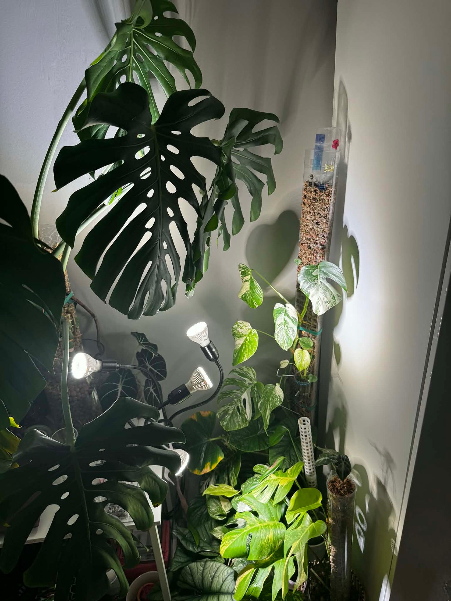 Sansi 600W 4-Arm Gooseneck Clip Grow Light