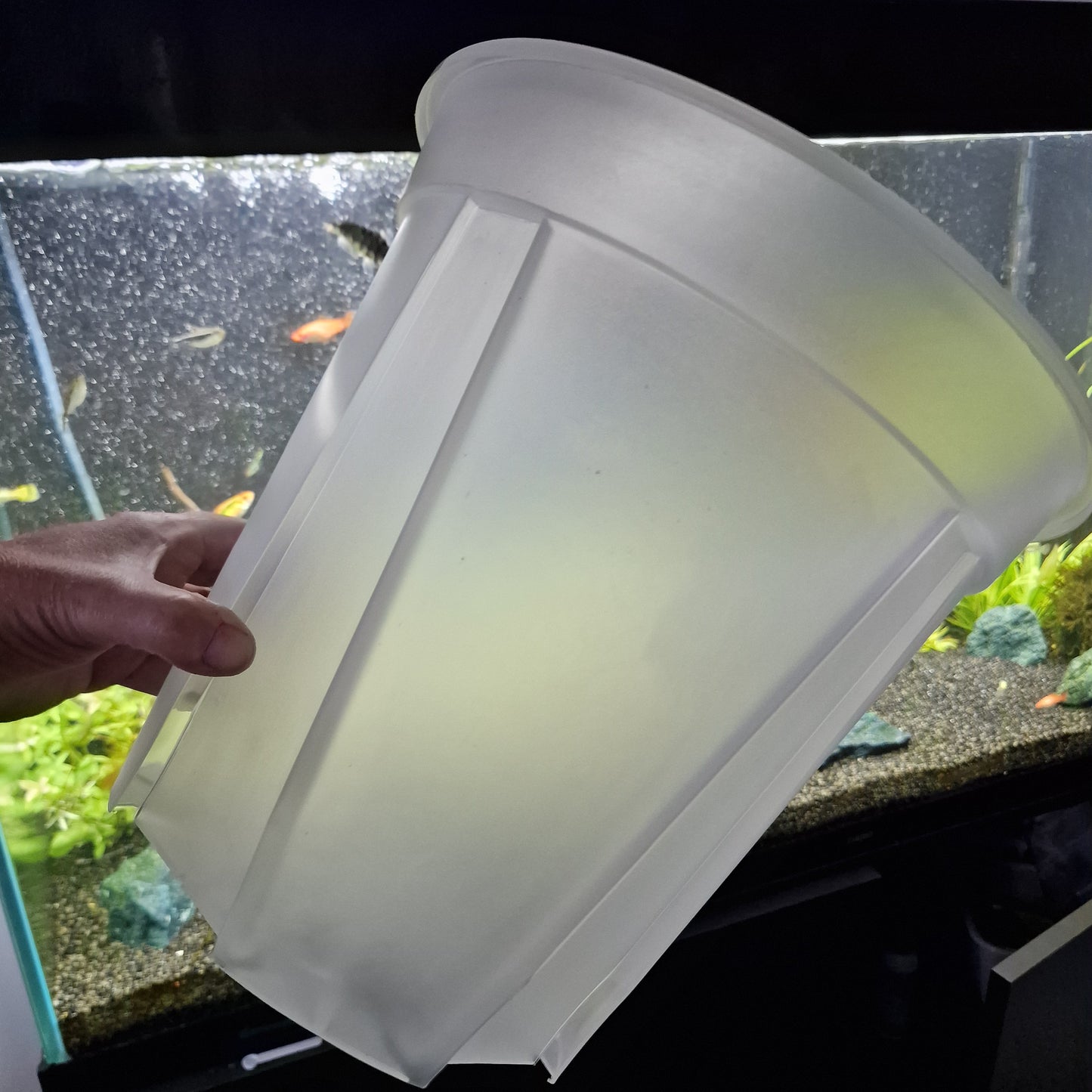Round Plastic Semi Transparent Plant Pots all sizes