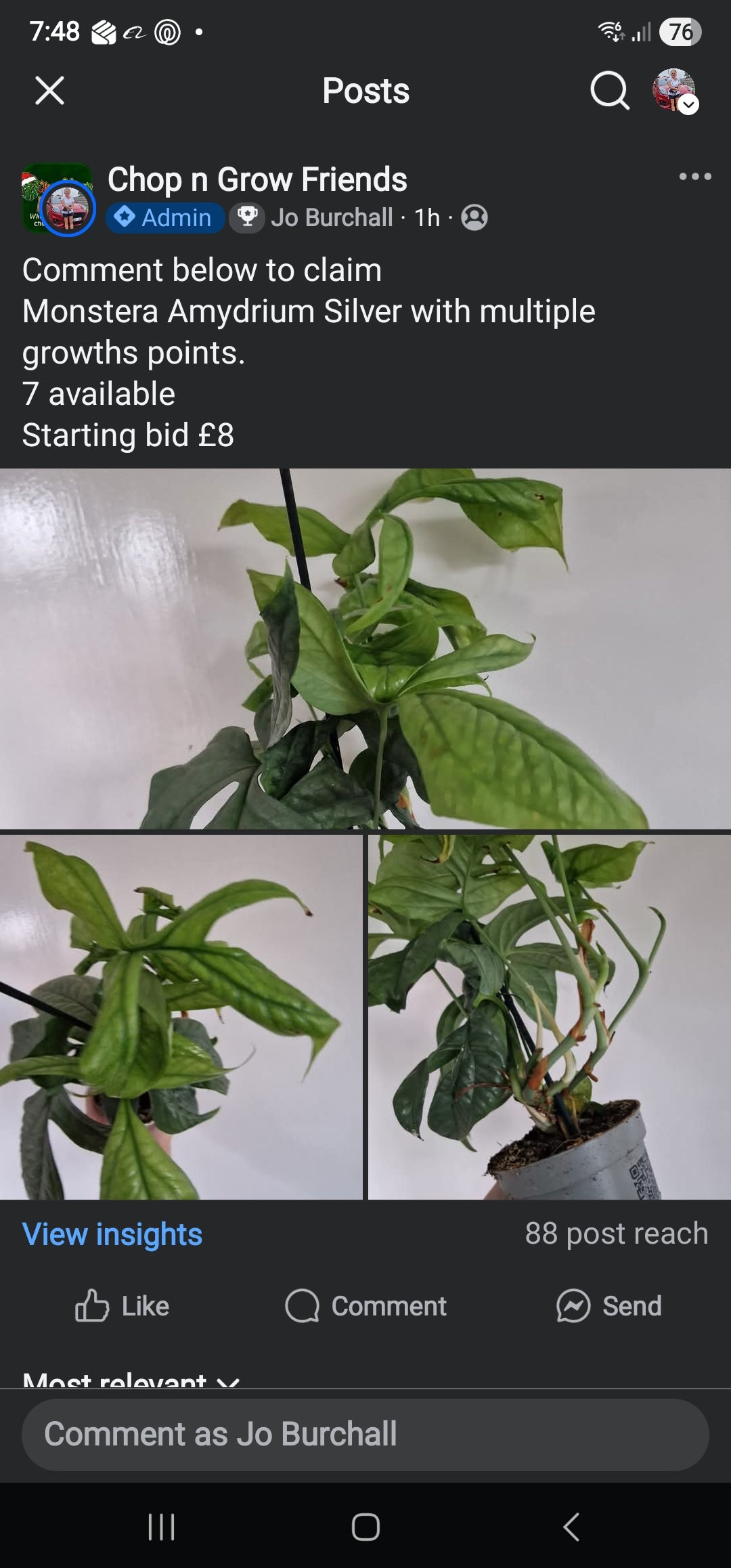 Sunday Sale Jay Amydrium