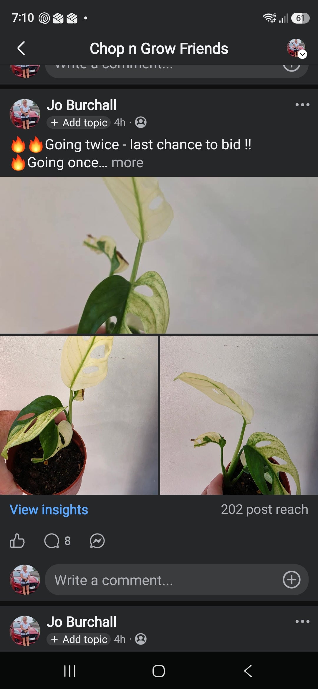 Sunday CnG Sale - Rebekah Adansonii Variegated