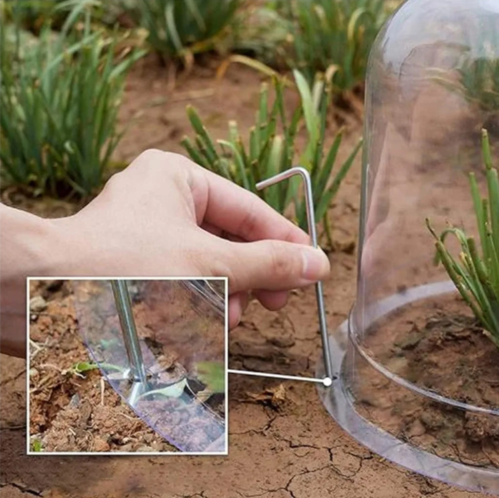 Plant Dome Bell Jar Cloches with vents and 2 nails 33 x 31cm