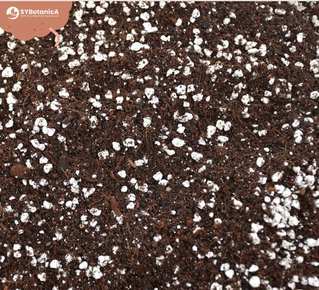 SYBASoil Universal Substrate Mix 5ltr