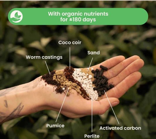 SYBASoil Cacti and Succulant Substrate Mix 5ltr