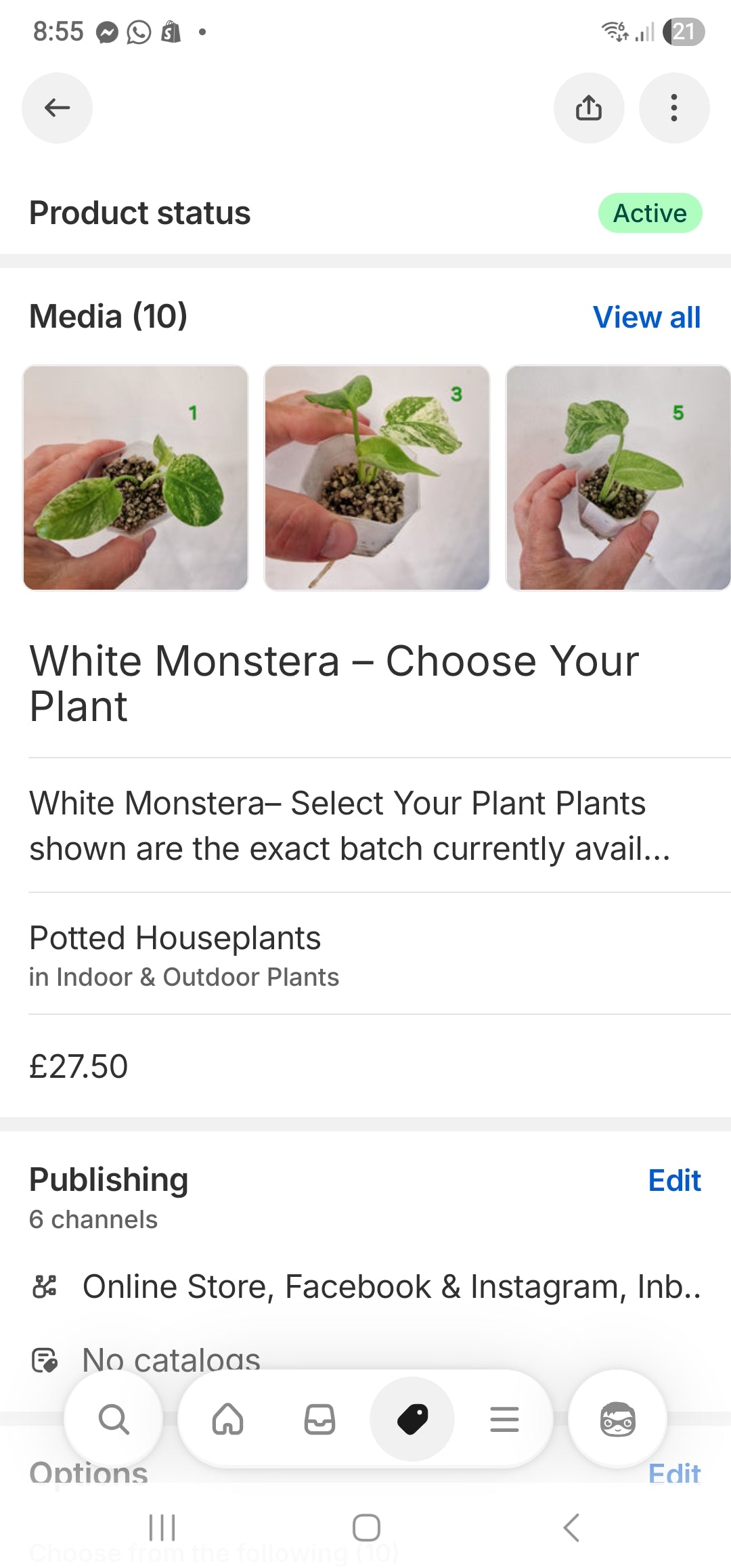 Sunday Sale - Paul white monstera me choose
