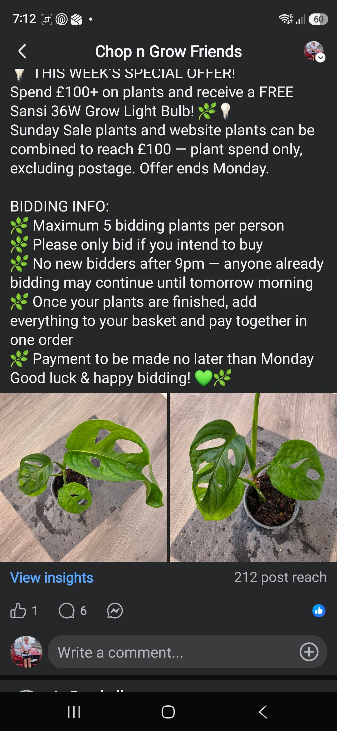 Sunday CnG Sale - Katarzyna rev Adansonii