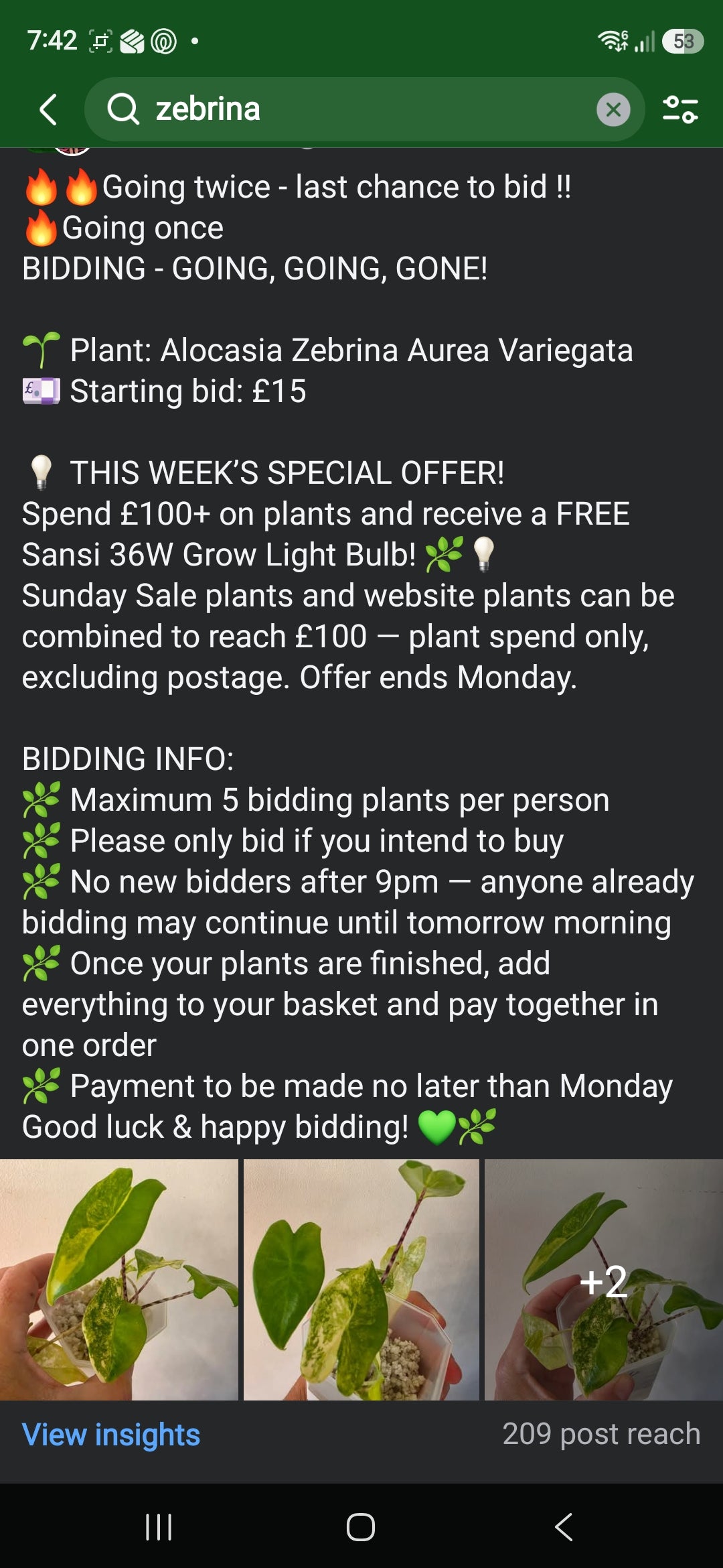 Sunday CnG Sale - James Zebrina