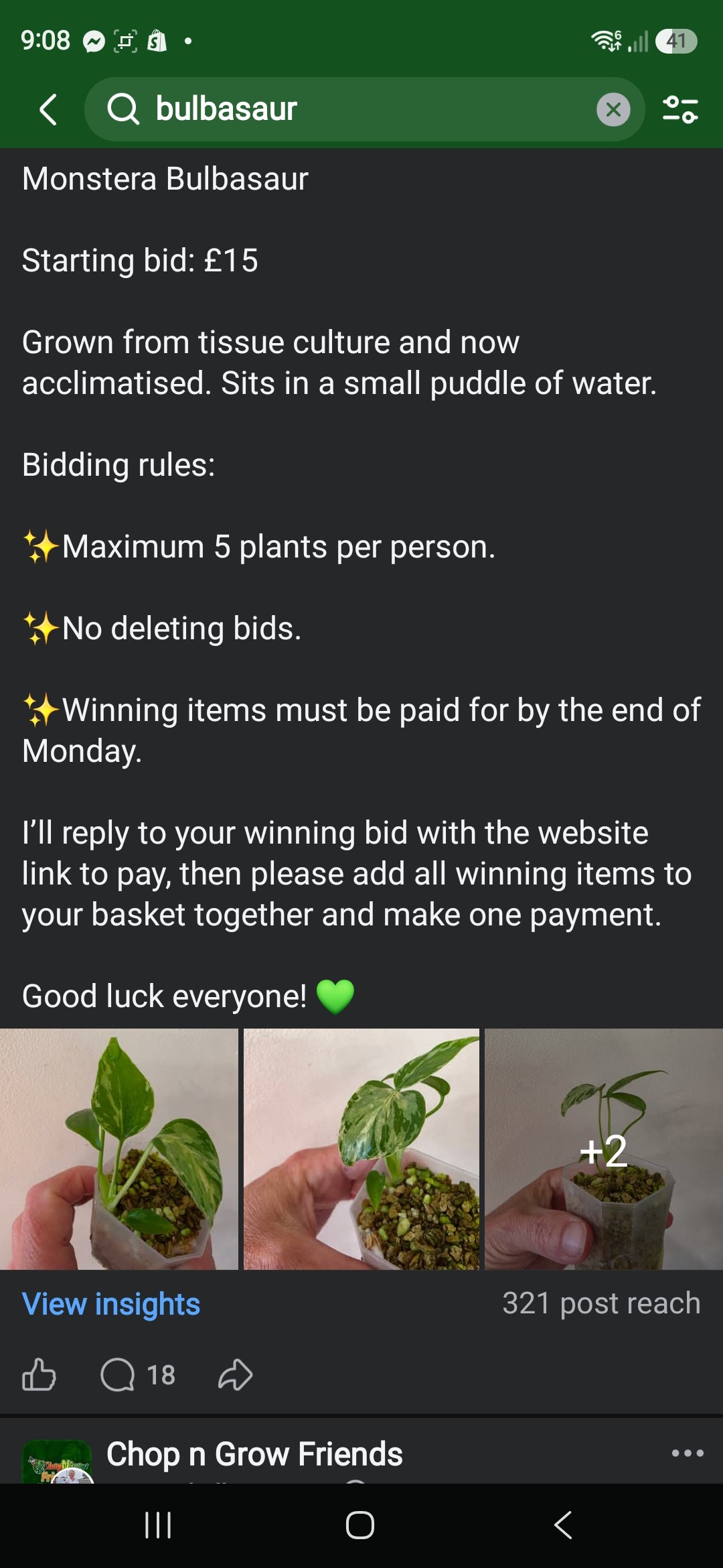 Sunday CnG Sale - Lyn Bulbasaur