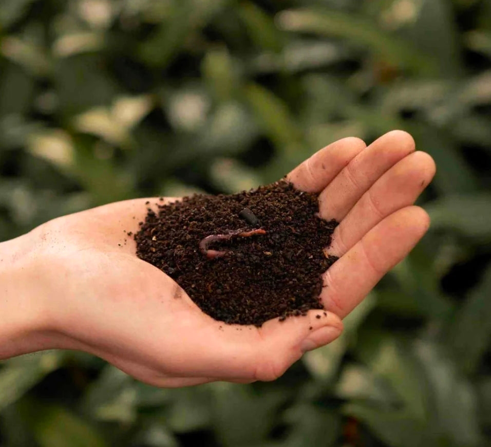 SYBASoil Premium ‘Worm Castings’ – 3L