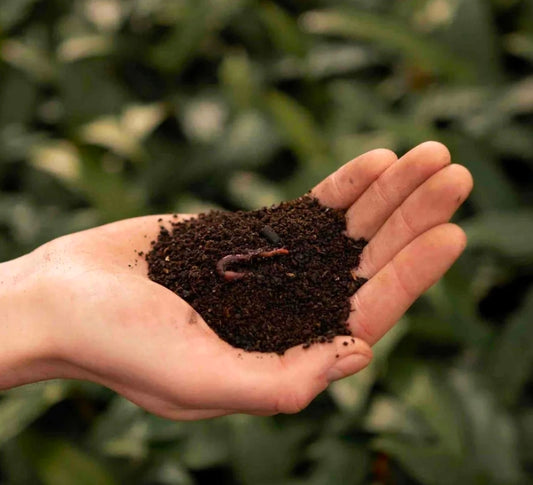 SYBASoil Premium ‘Worm Castings’ – 3L