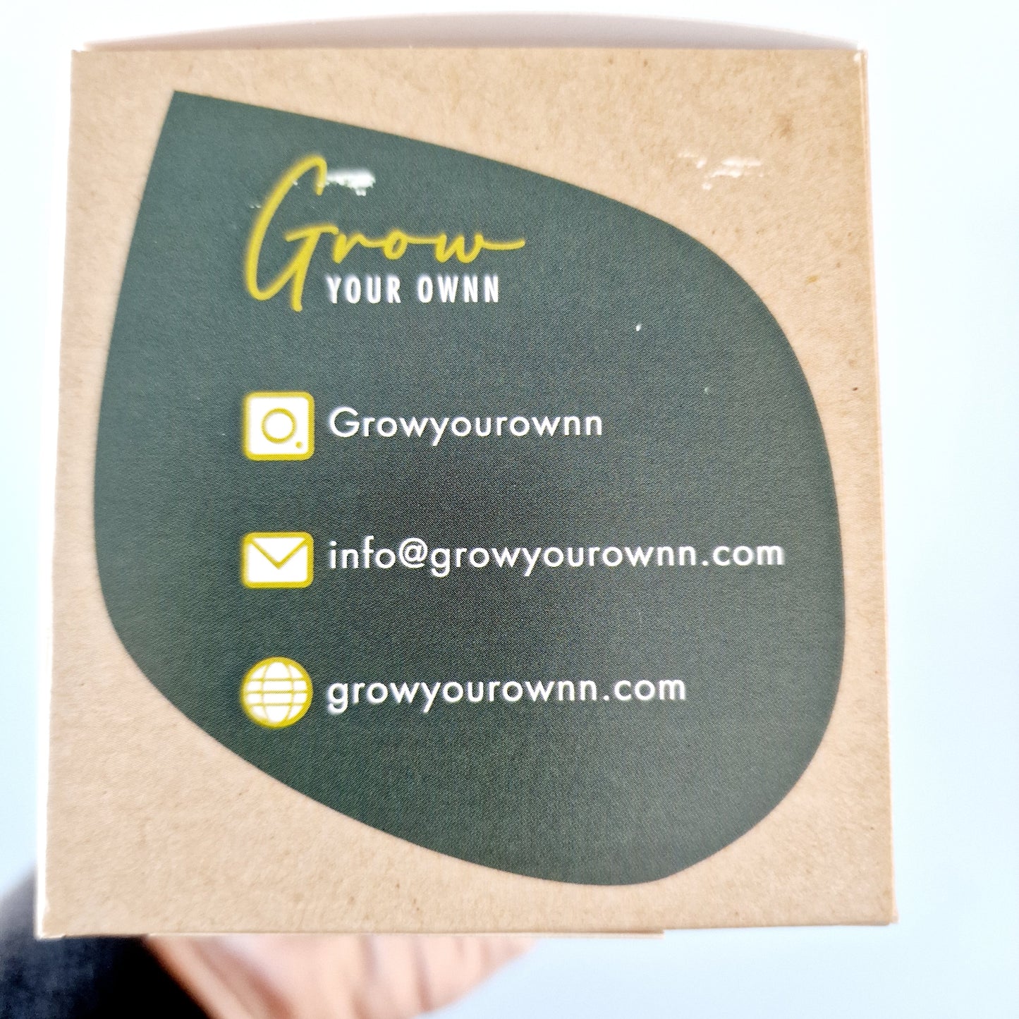 Grow your own Monstera Deliciosa - Houseplant Set