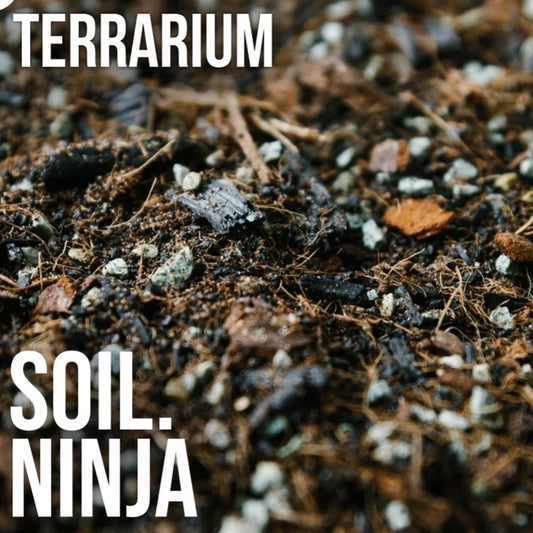 Soil Ninja Premium Terrarium Blend Soil