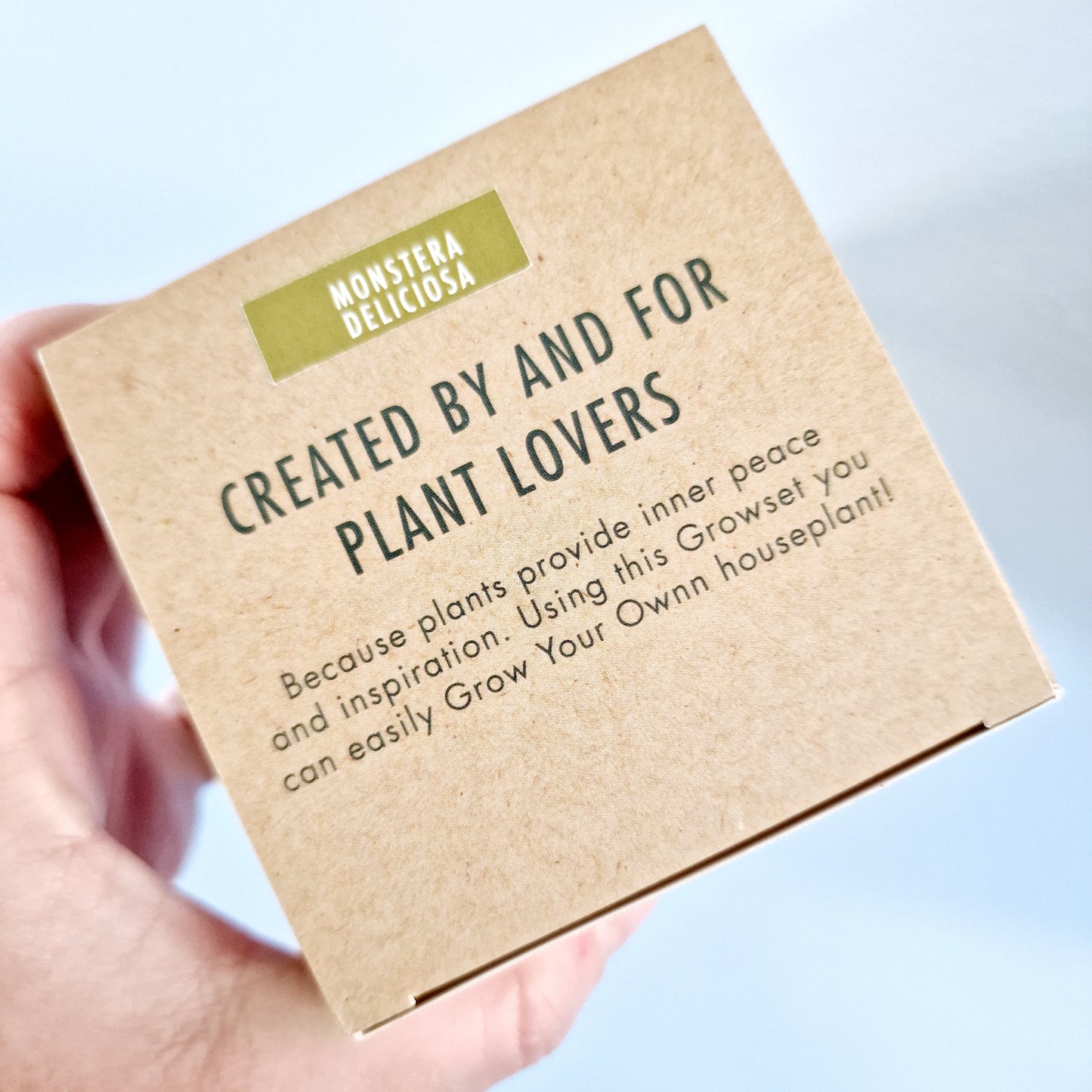 Grow your own Monstera Deliciosa - Houseplant Set