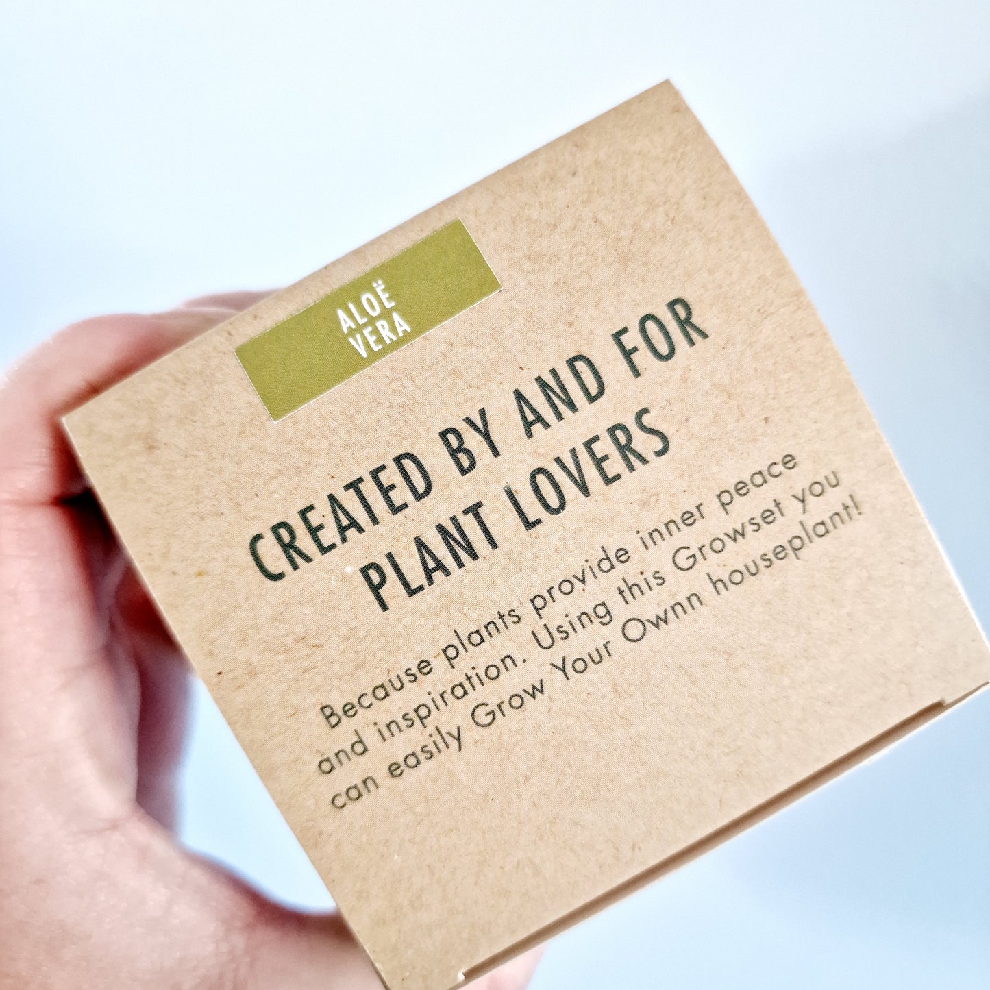 Grow your own Aloe Vera - Houseplant Set
