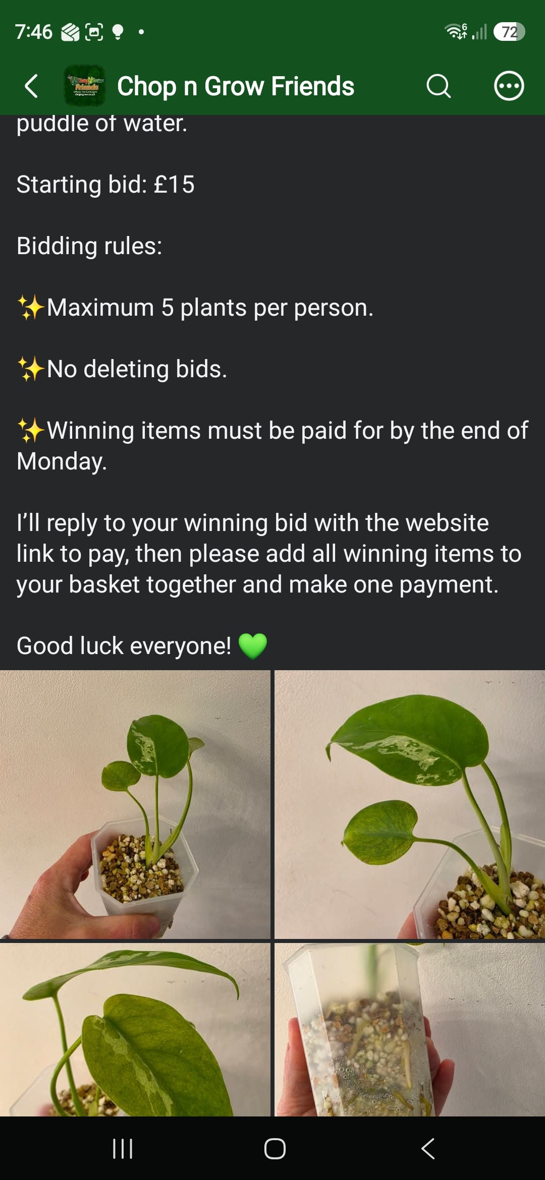 Sunday CnG Sale - Adam Bulbasaur