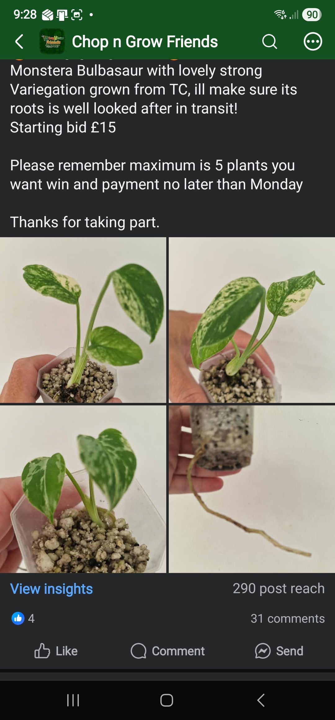 Chop n Grow Friends sale - Brian Bulbasaur