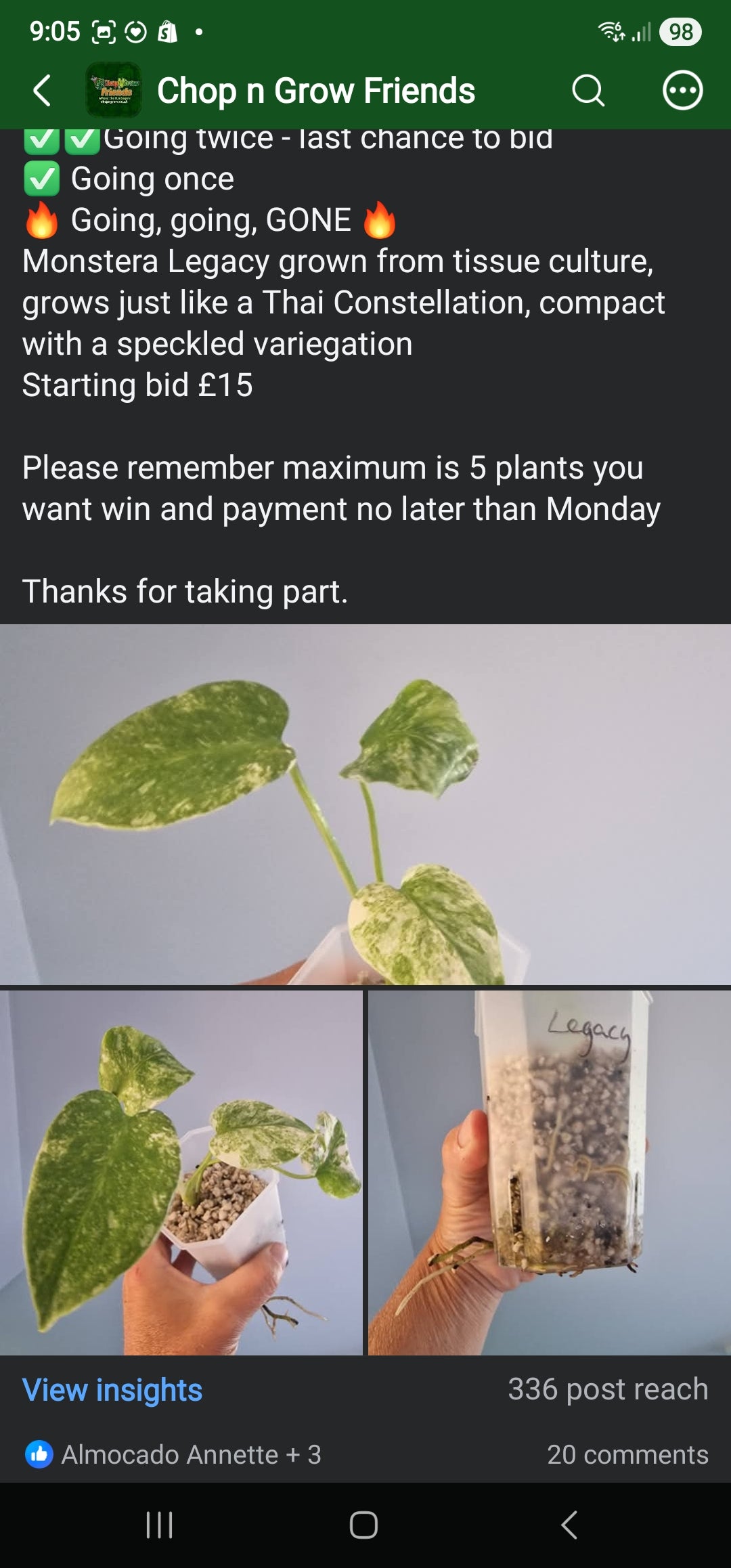 Chop n Grow Friends sale - Abby Legacy