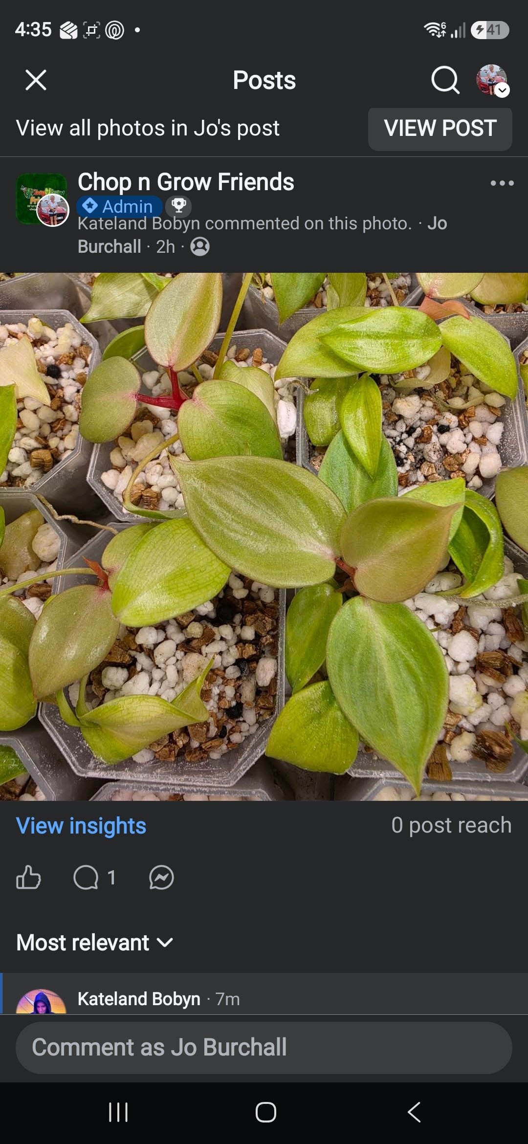 Sunday CnG Sale - Kate Billietiae x Pastazanum