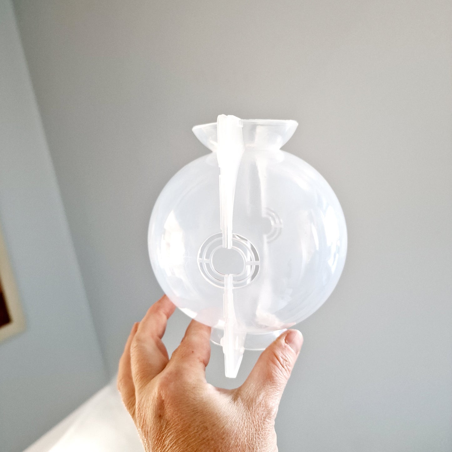 Clear Plastic Plant Rooting Ball - various sizes