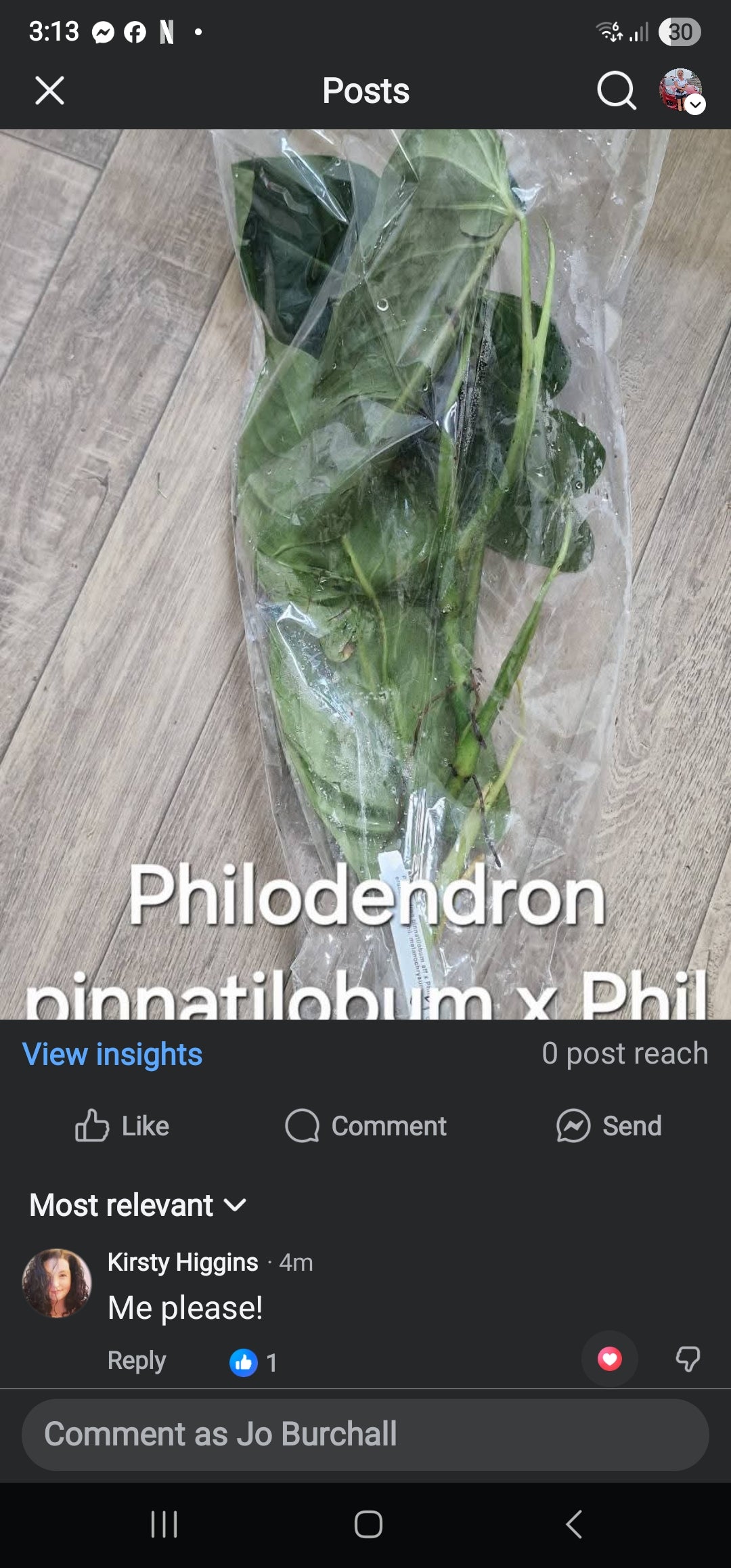 Sunday Sale - Kirsty Ecuagenera Philo as per pic