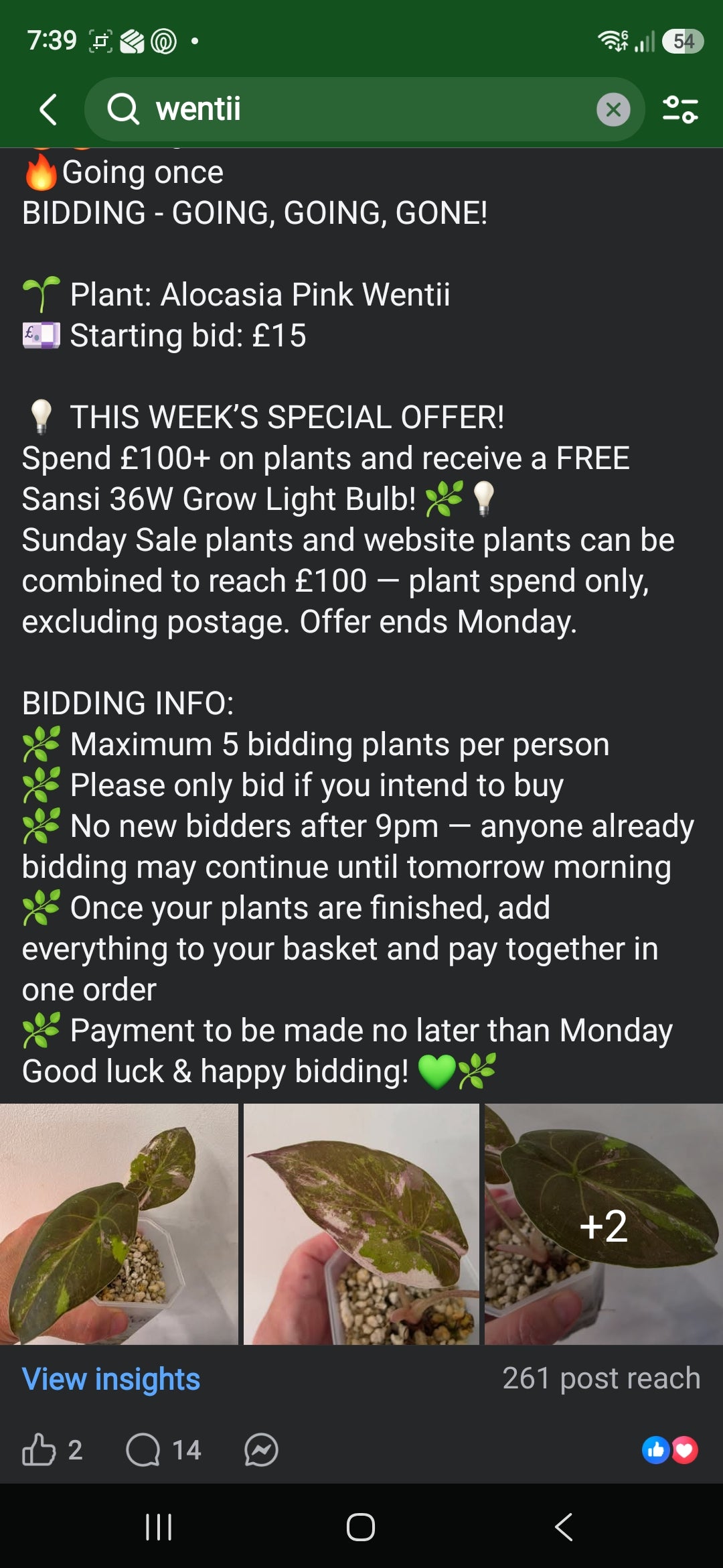 Sunday CnG Sale - Jamie Wentii
