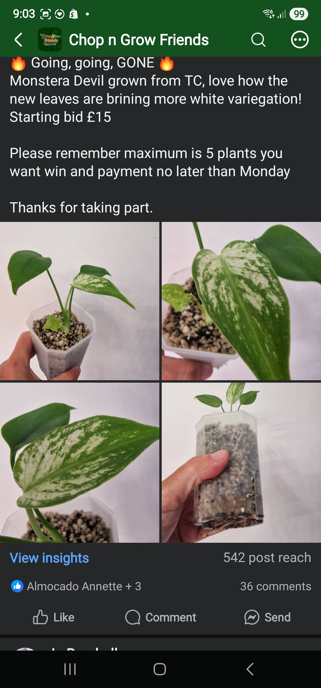 Chop n Grow Friends sale - Rebecca Devil