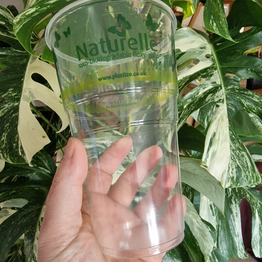 One Pint Clear Plastic Biodegradable Cup With Holes