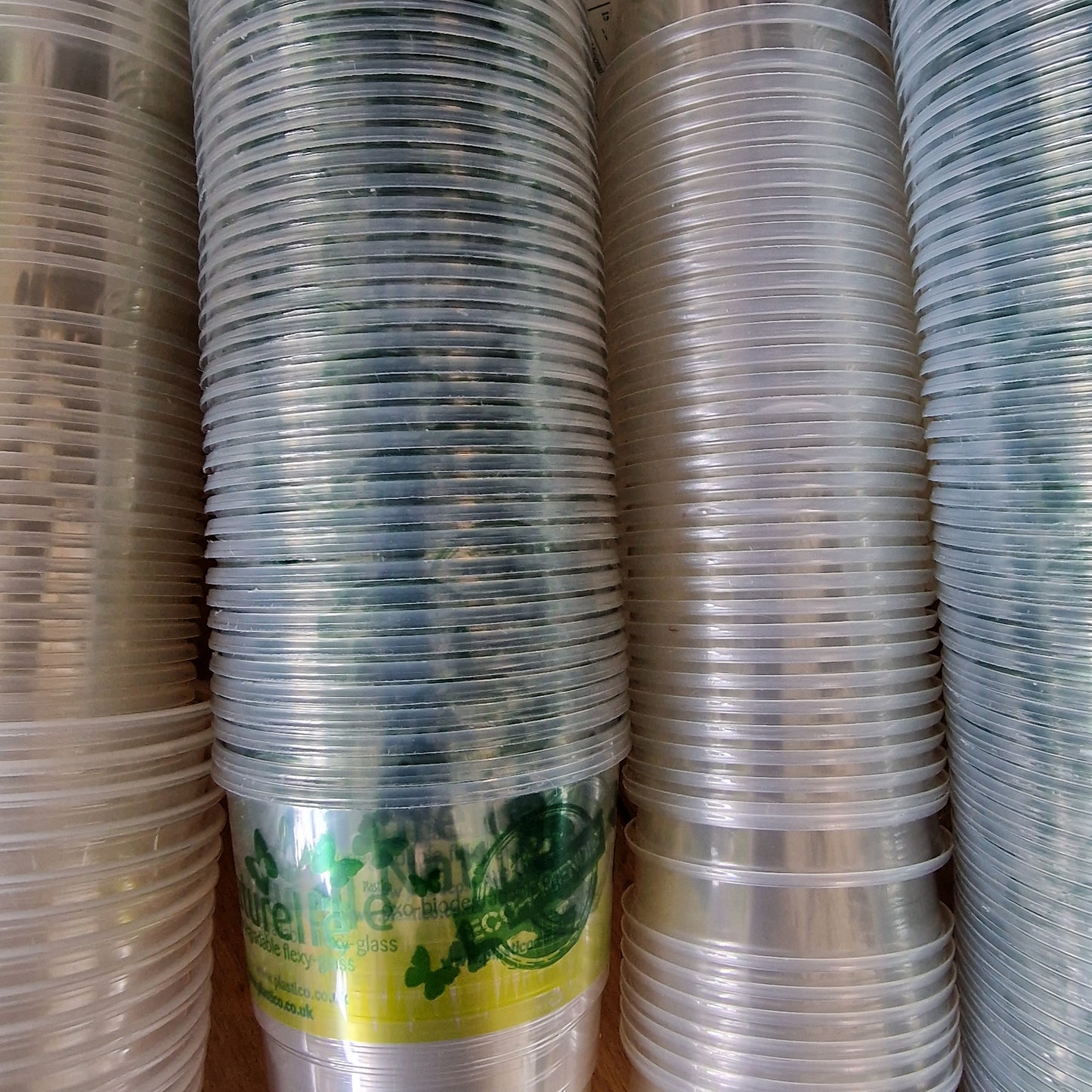 Half Pint Clear Plastic Biodegradable Cup With Holes