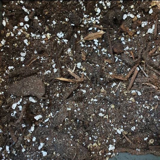 Peat Free Soil - Houseplant / Philodendron and Monstera Light Airy mix 500g