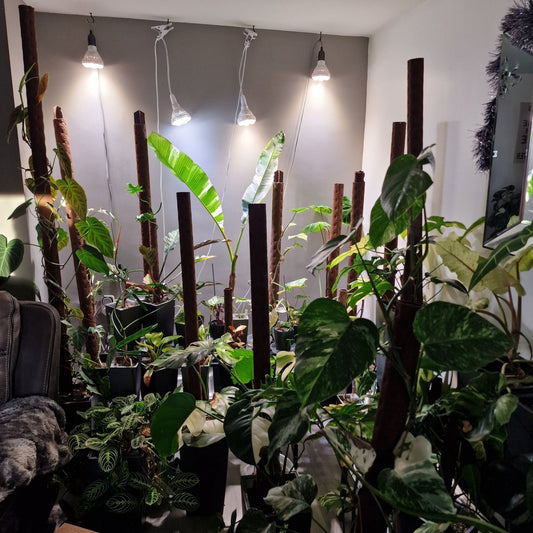 What I’ve Learned About Grow Lights the Easy Way