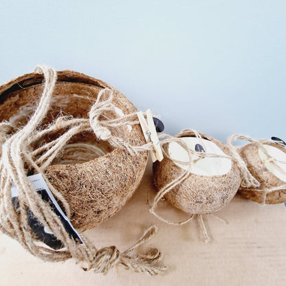 Kokodama (Coconut Fibre) All Natural Hanging Pots Various Sizes see description