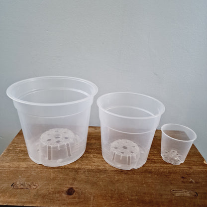 Clear Plastic Orchid Pot - Various Sizes