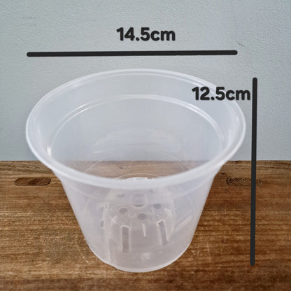 Clear Plastic Orchid Pot - Various Sizes