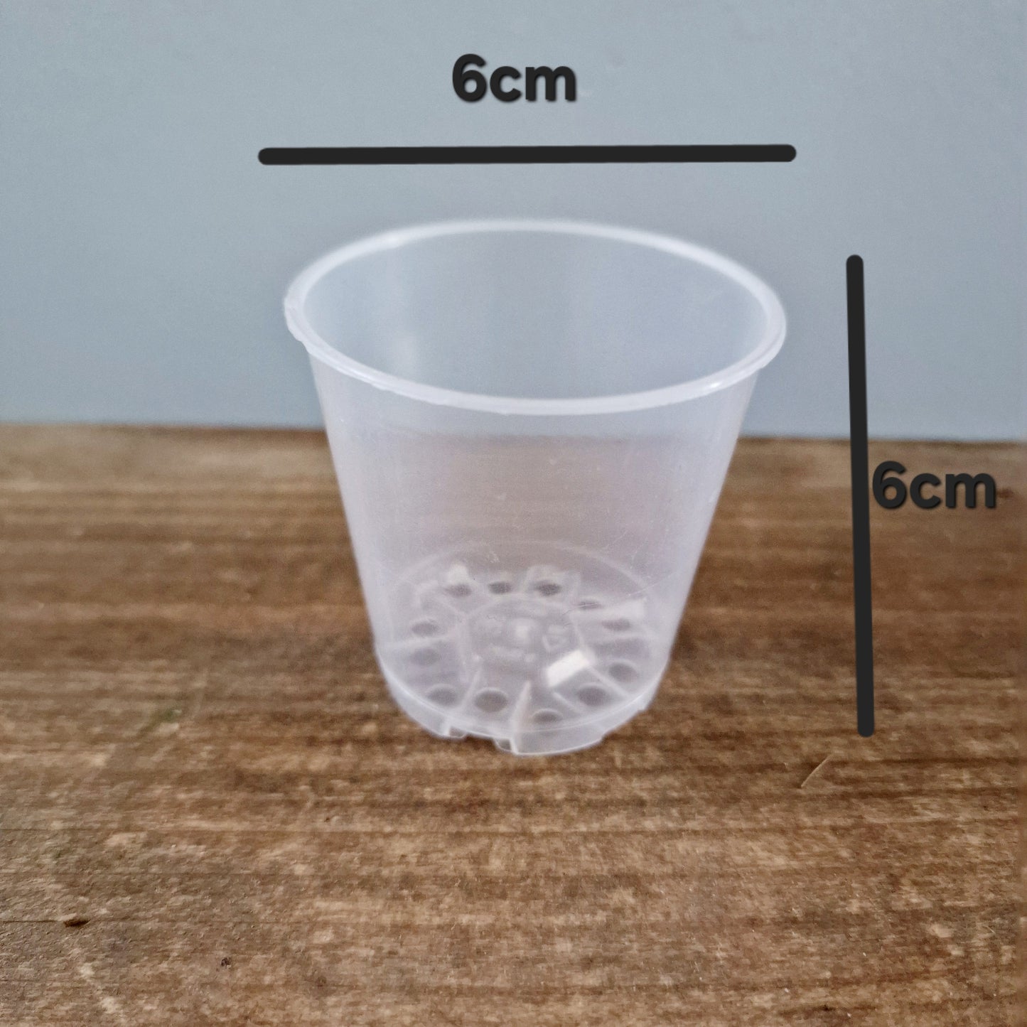 Clear Plastic Orchid Pot - Various Sizes